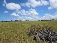  of property in Pacaltsdorp