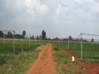  of property in Riversdale