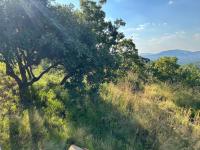  of property in Safarituine