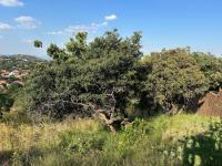  of property in Safarituine