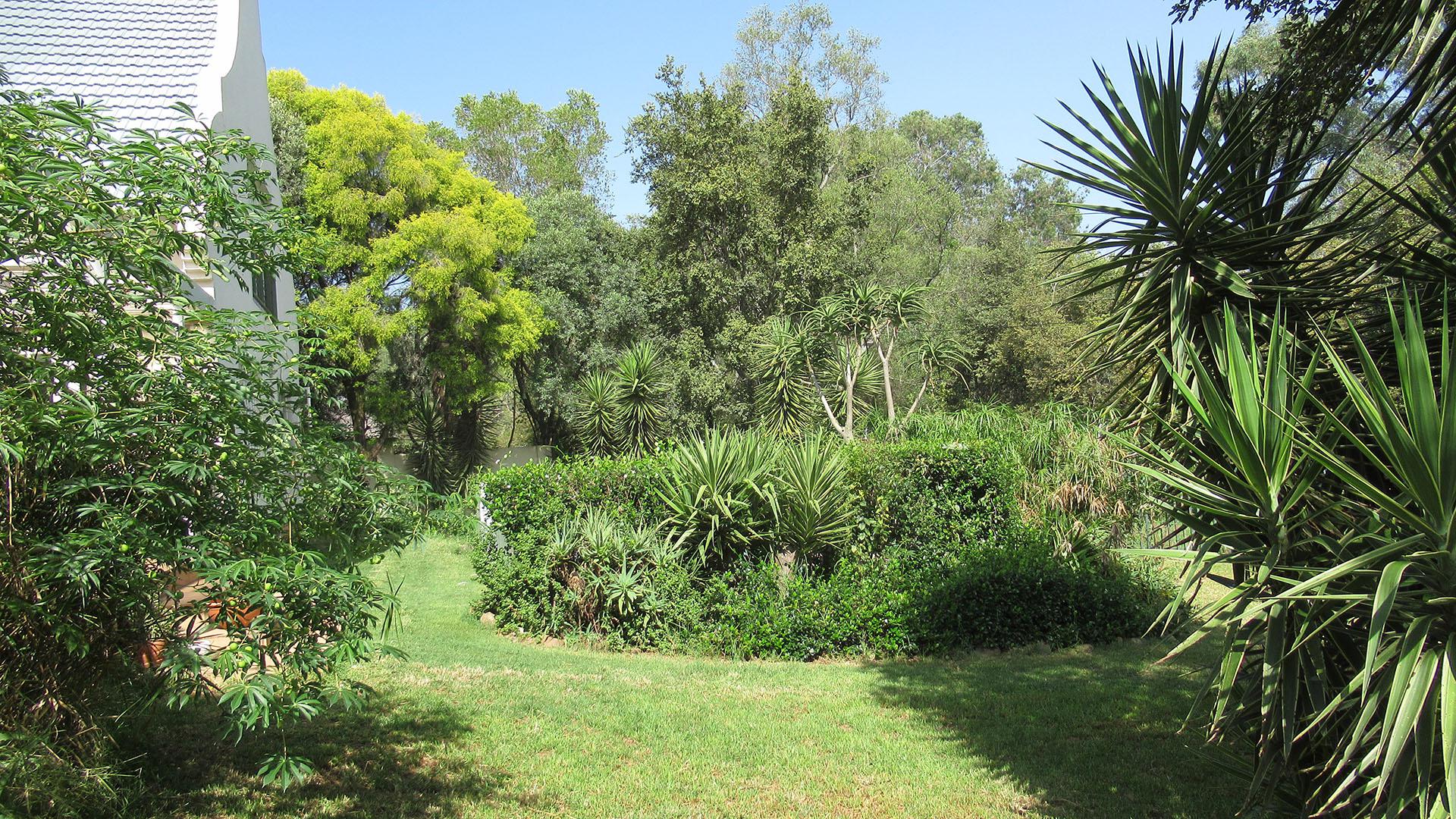 Backyard of property in Meadowhurst