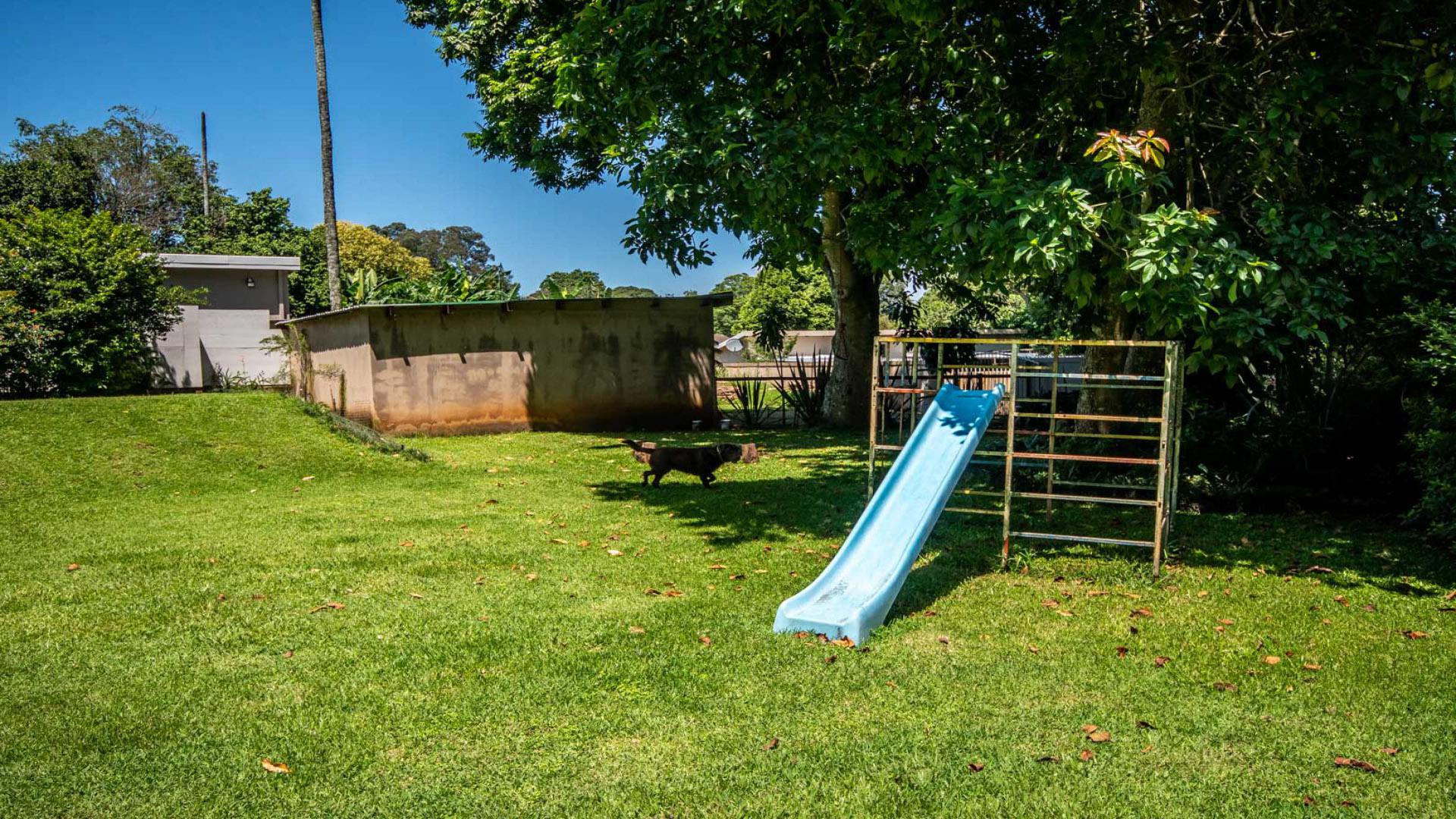 Backyard of property in Hillcrest - KZN