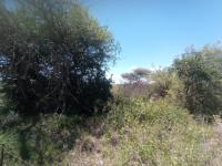  of property in Polokwane