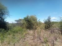  of property in Polokwane