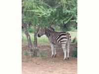  of property in Roodeplaat