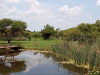  of property in Roodeplaat