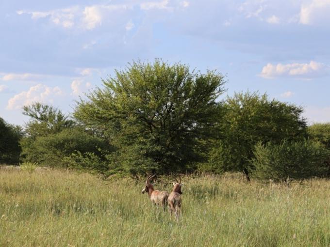 Farm for Sale For Sale in Rustenburg - MR706435