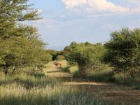  of property in Rustenburg