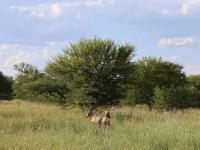  of property in Rustenburg