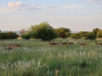  of property in Rustenburg