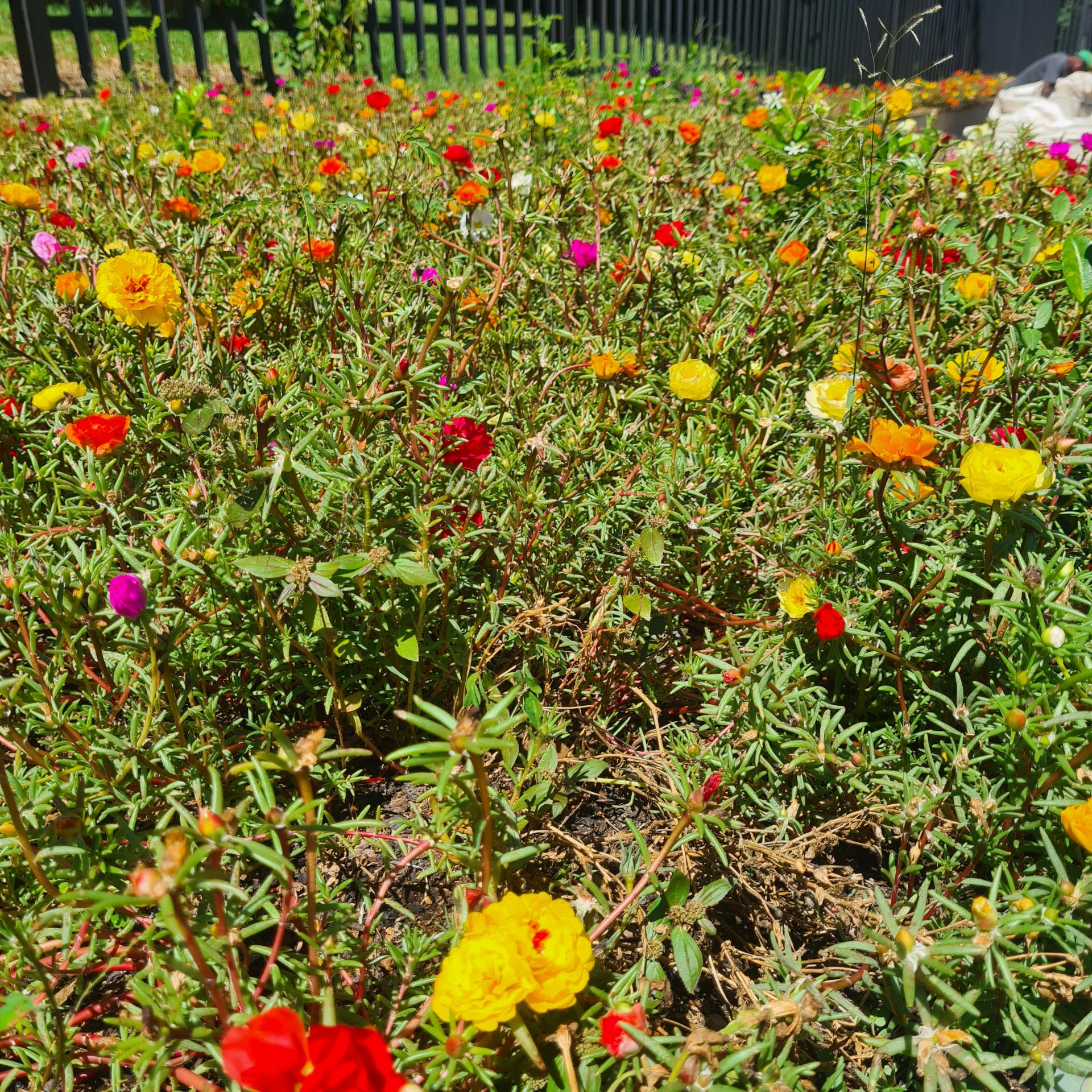  of property in Val de Grace