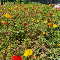  of property in Val de Grace