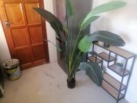  of property in Soshanguve