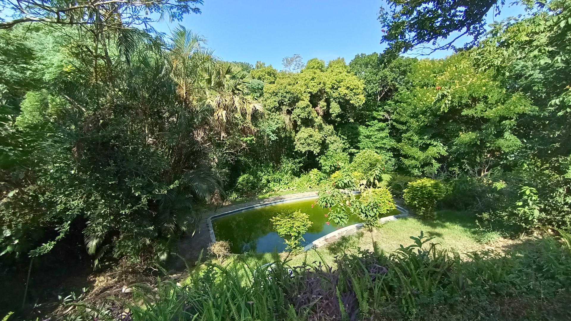 Backyard of property in Berea West 