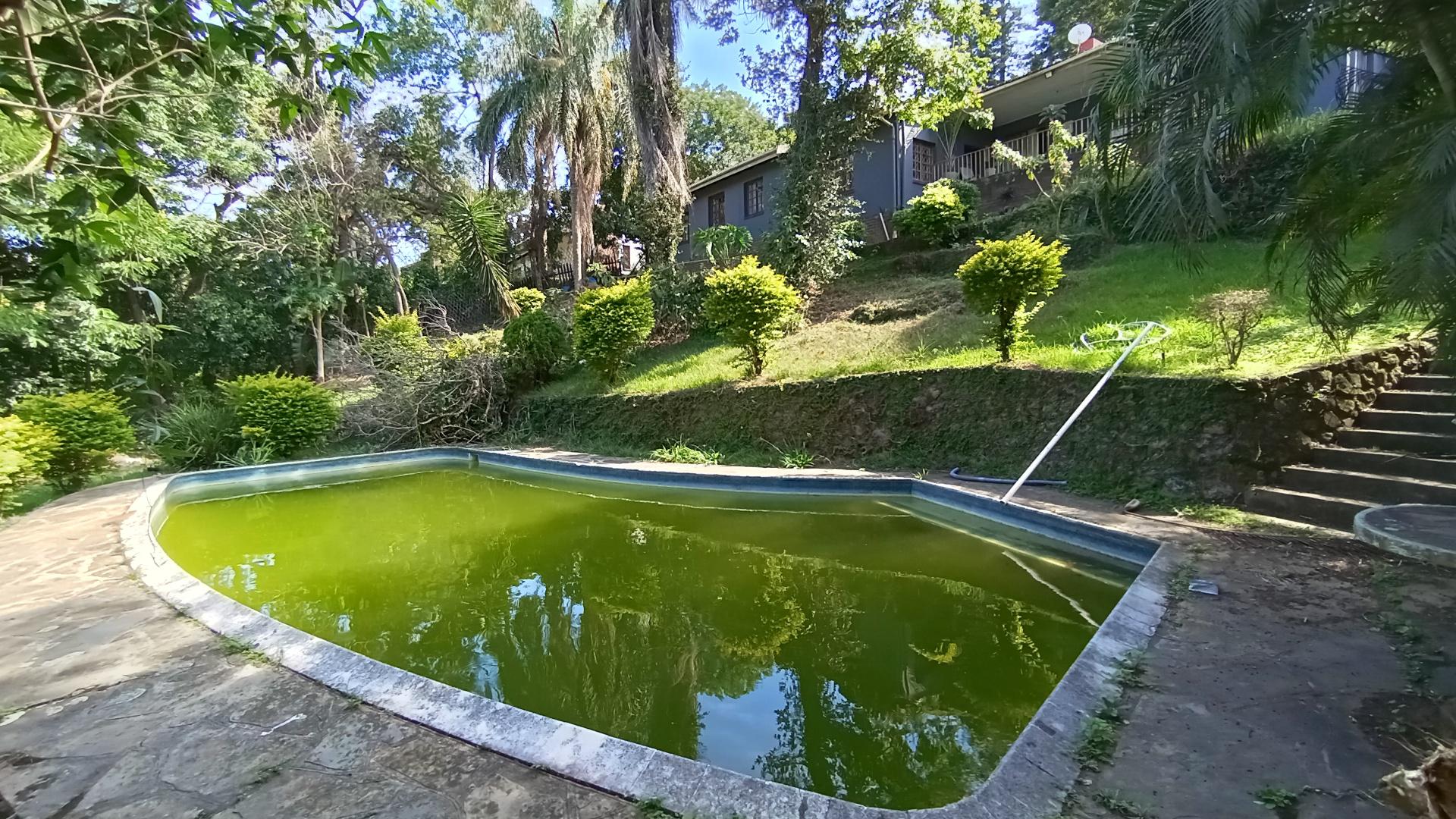 Backyard of property in Berea West 