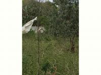  of property in Alexandria