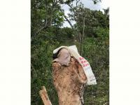  of property in Alexandria