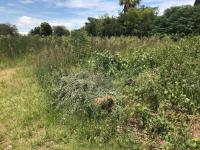  of property in Middelburg - MP