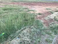  of property in Middelburg - MP