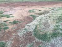  of property in Middelburg - MP