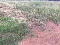  of property in Middelburg - MP