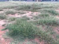  of property in Middelburg - MP