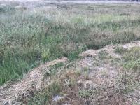  of property in Middelburg - MP