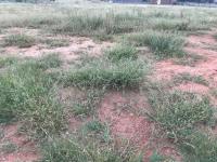  of property in Middelburg - MP