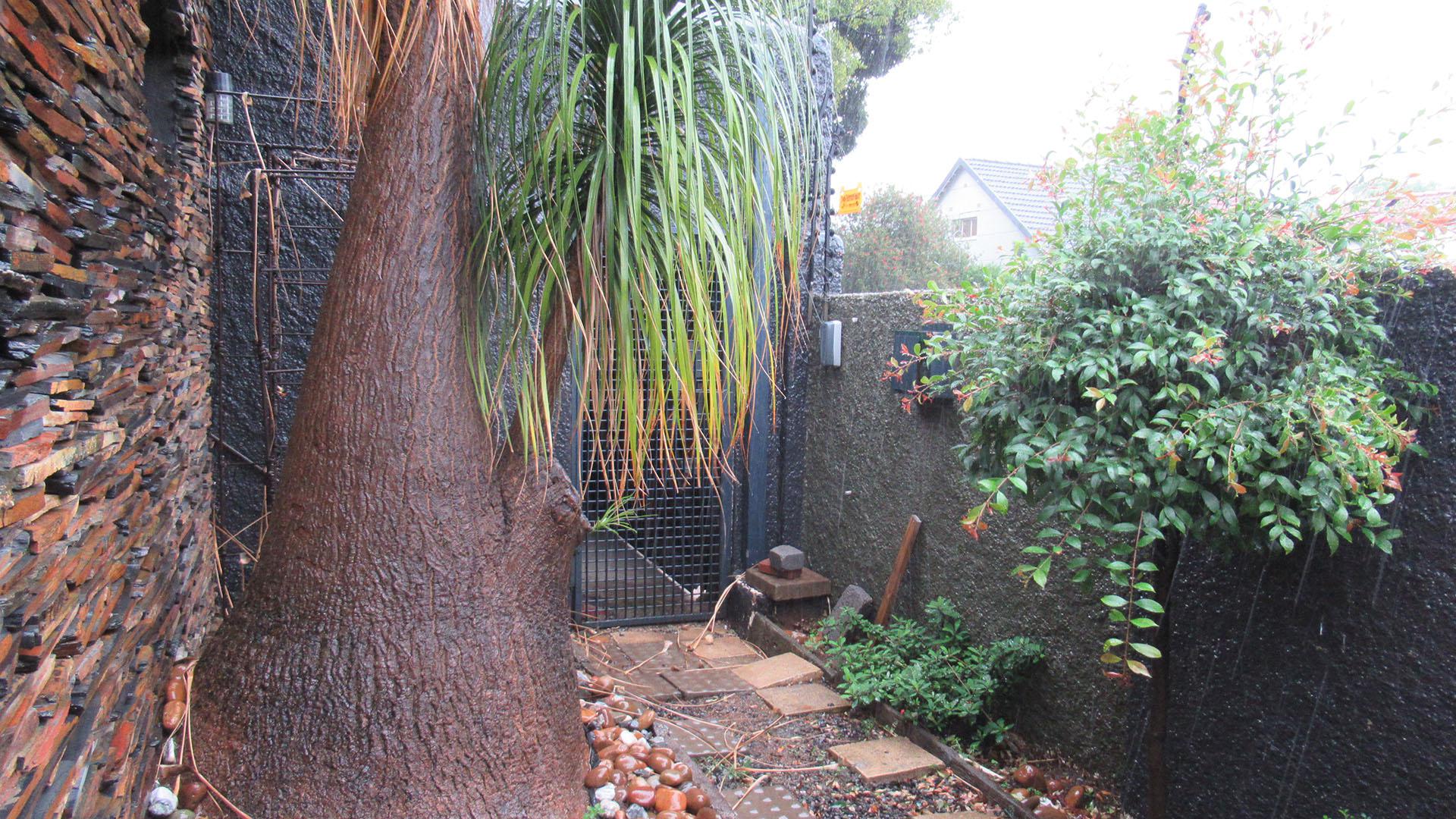 Backyard of property in Greymont