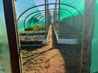  of property in San Michel