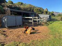  of property in San Michel