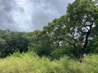  of property in Komatipoort