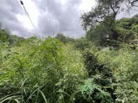  of property in Komatipoort