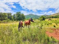  of property in Hartbeespoort