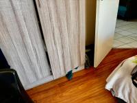  of property in Wilkoppies