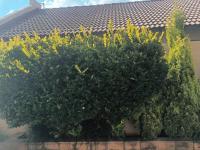  of property in Jordaanpark