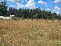  of property in Ohenimuri