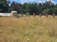  of property in Ohenimuri