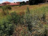  of property in Polokwane