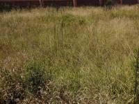  of property in Polokwane