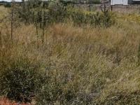  of property in Polokwane