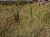  of property in Polokwane