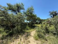  of property in Hoedspruit