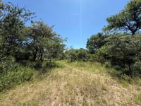  of property in Hoedspruit