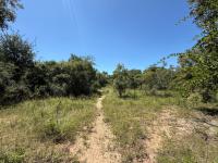  of property in Hoedspruit