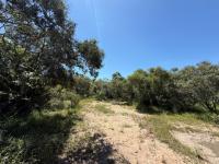  of property in Hoedspruit