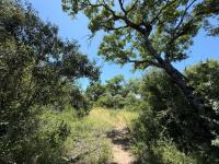  of property in Hoedspruit