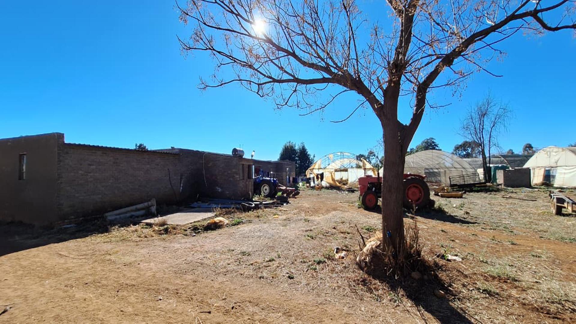 Backyard of property in West Rand AH