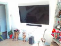  of property in Solheim