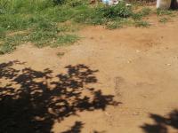  of property in New Redruth